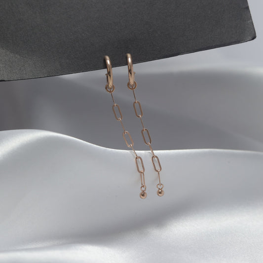 Golden Chain Drop Earrings