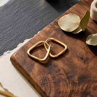 Aurelia Hoops