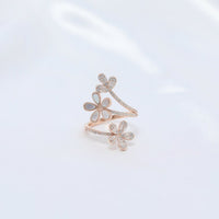 Daisy Whimsy