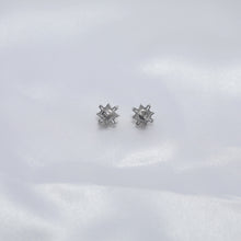 Load image into Gallery viewer, Chandni Moti Earring