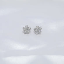 Load image into Gallery viewer, Shagun Studs