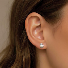 Load image into Gallery viewer, Nikki Shehzadi